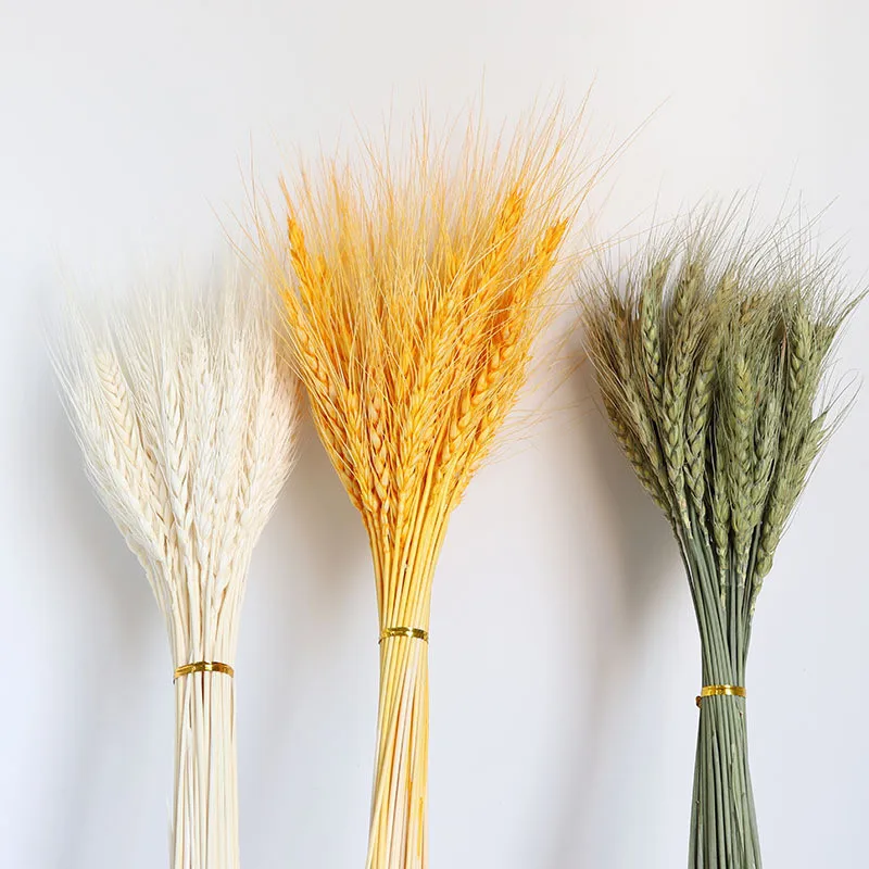 

Limited 50PCS Natural Dried Wheat Ears Wedding Party Decoration Bouquet Gift Home Decor Pampas Opening Flowers Craft DIY Barley