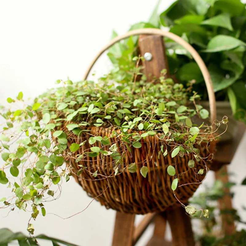 Hand Woven Wicker Hang Basket Natural Rattan Material Wall Hanging Flowerpot with Waterproof Lining Balcony Decorative Flowerpot