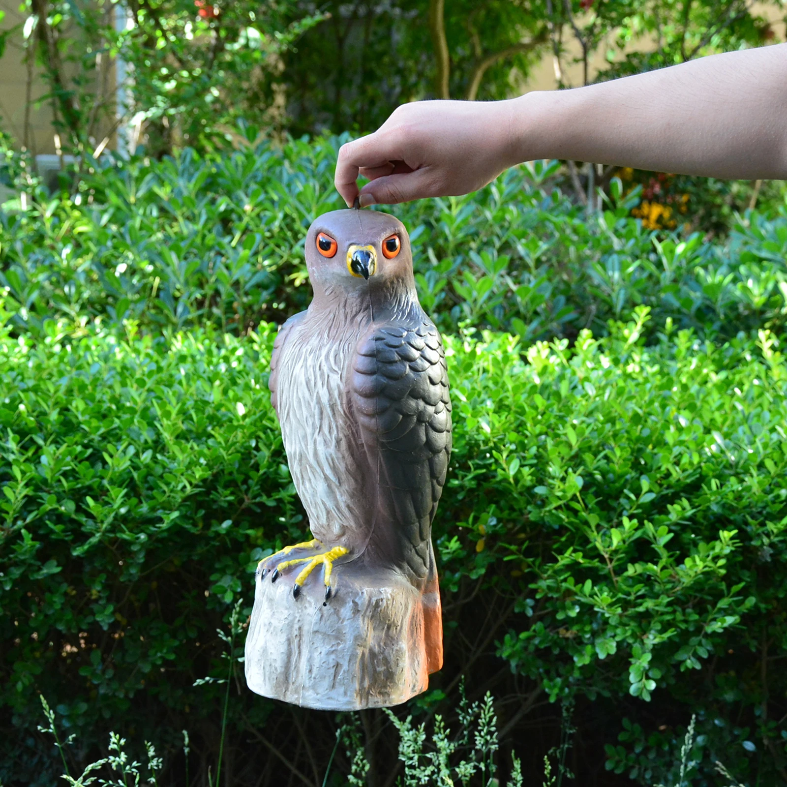 

Bird Deterrent Decoy Statue Garden Ornamental Scarer Red-tailed