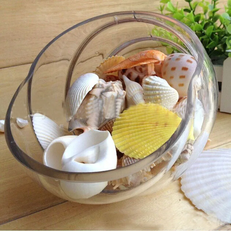 100 г/пакет смесь органических материалов ракушки для морского пляжа ремесла