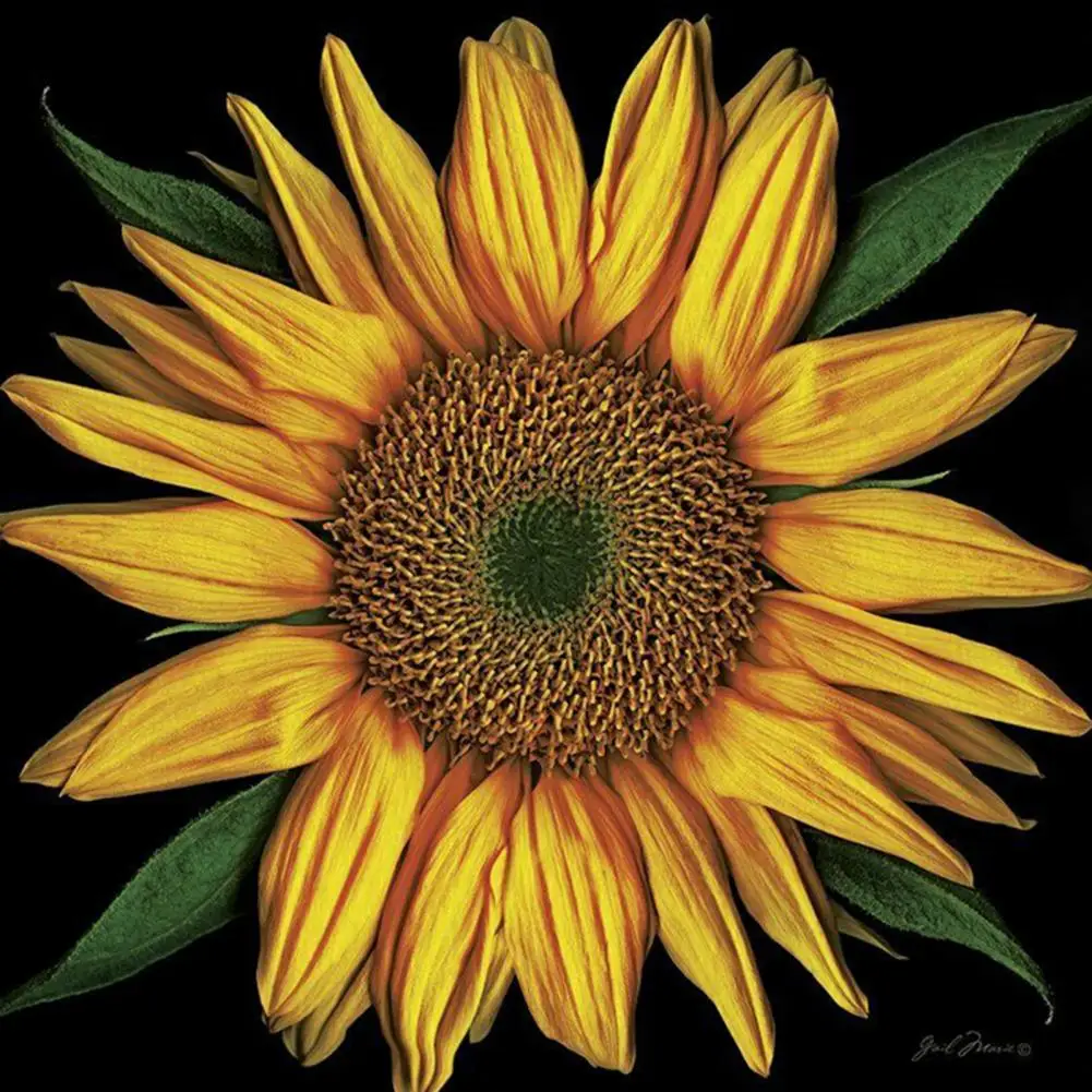 

Hot Sales!! 2Pcs Pillowcase One Side Printing Sunflower Polyester Soft Throw Pillow Cover for Home