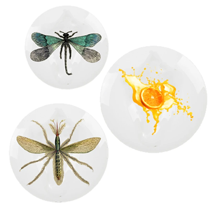 Настенная подвесная тарелка для женщин 6/7/8 дюймов декоративное бальное