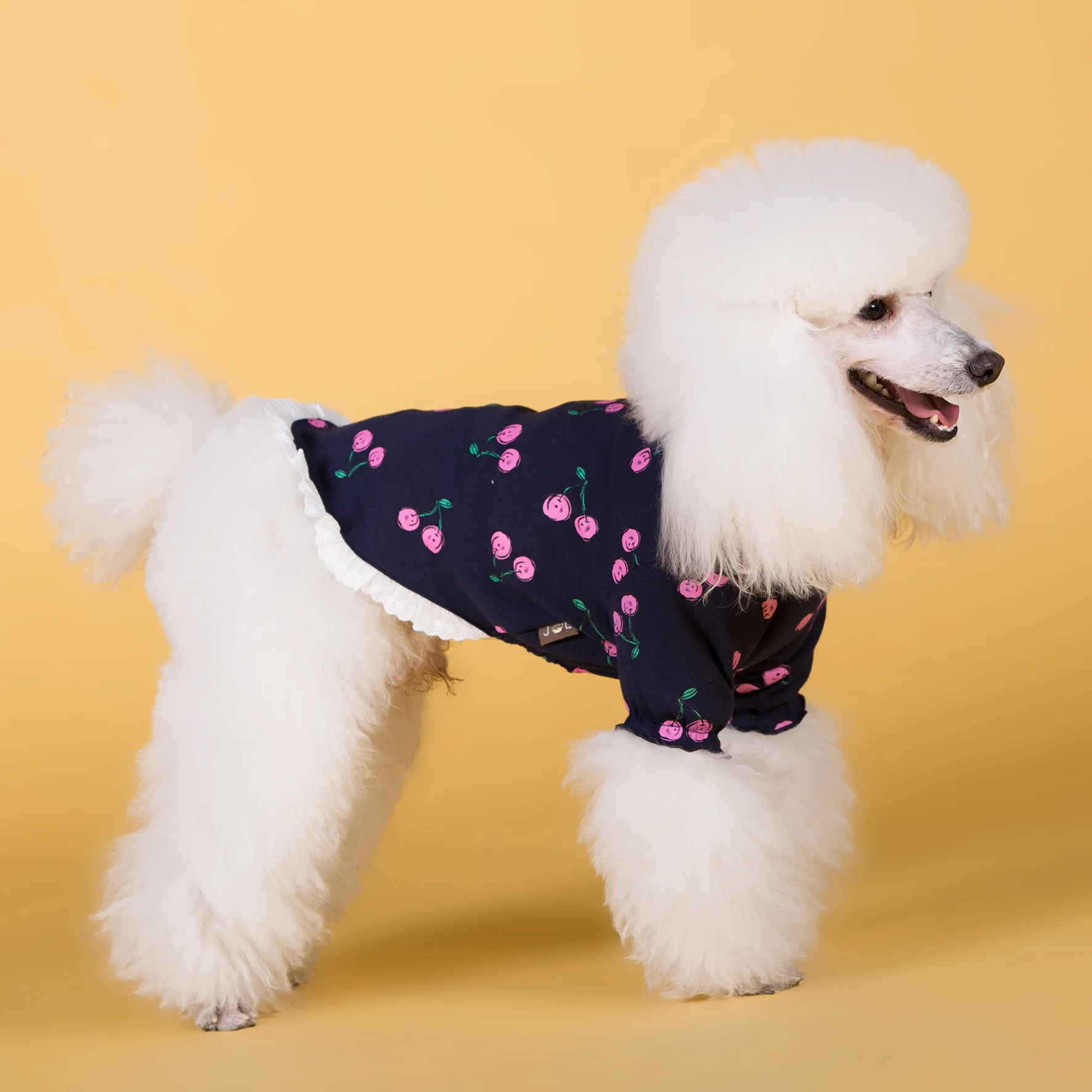 Весенняя одежда для собаки вишневая рубашка питомцев чихуахуа хлопковая