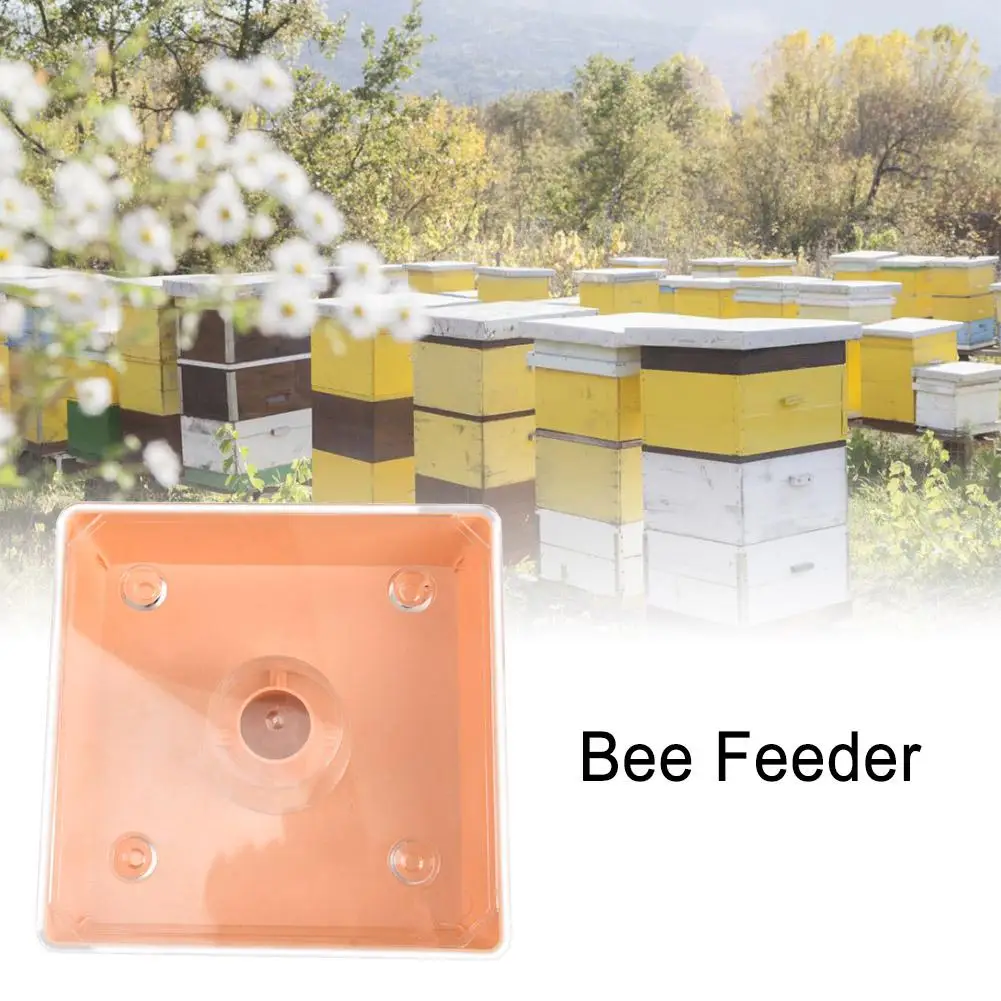 Square Bee Feeder Beekeeping Tools Convenient Large Capacity Non-toxic Honey Equipment Water For Apiary | Дом и сад