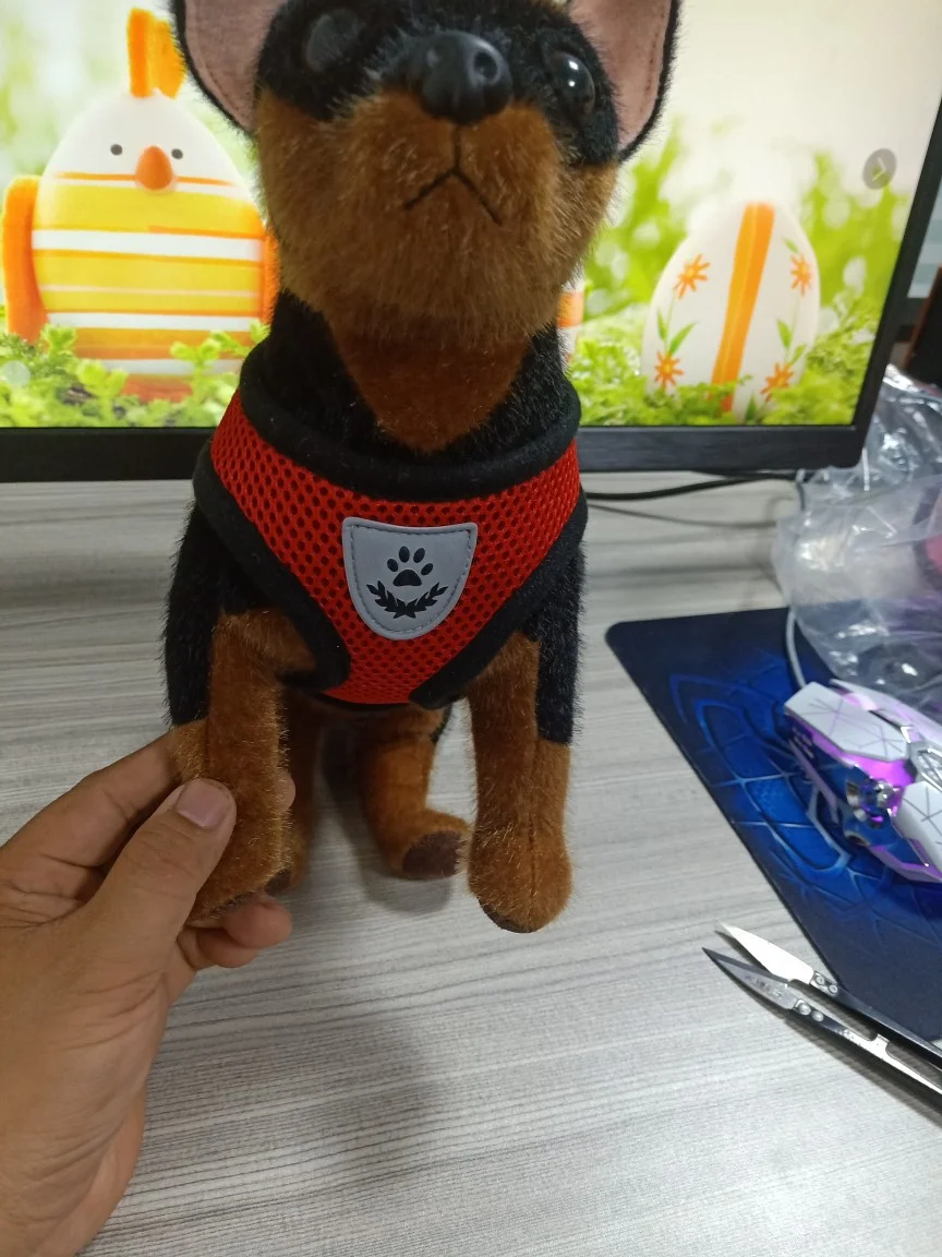 

Pet Supplies Mesh Chest Strap Fashion Hamster Leash