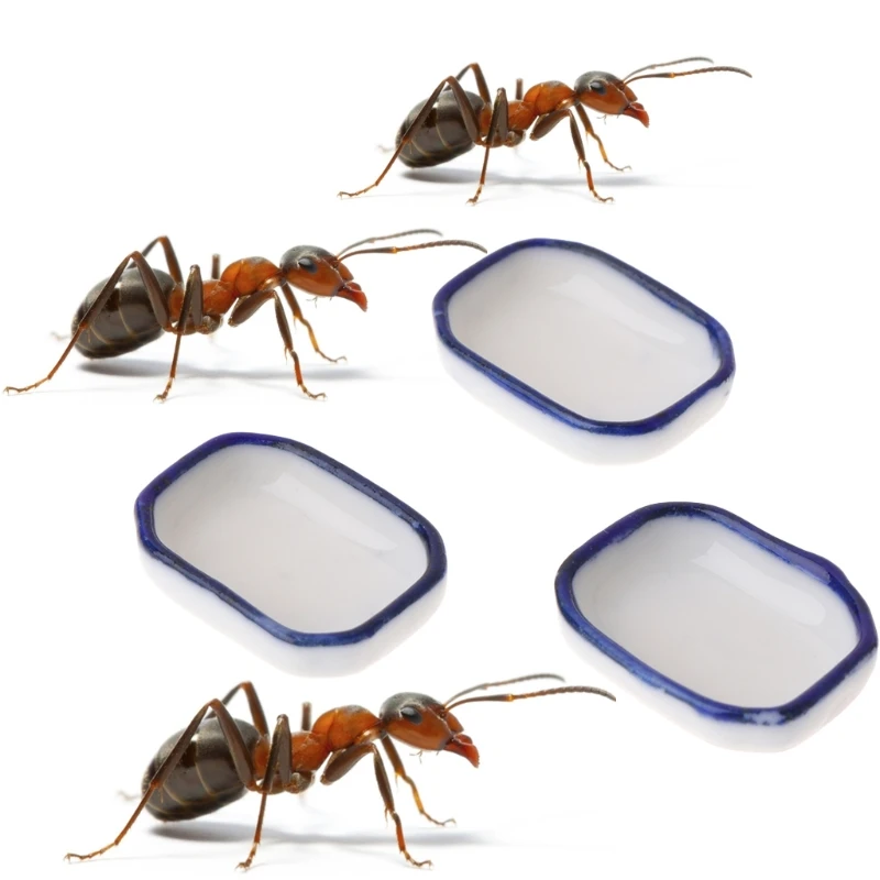 3 шт. муравей фермы кормушка насекомое Гнездо дом Вилла миска для воды еды