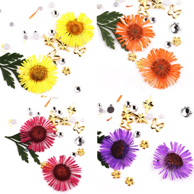 1 Box Dried Daisy Flowers 3D Hydrangea Mixed Nail Drills Art Decoration Beauty for UV Gel Polish Nails Design | Красота и здоровье