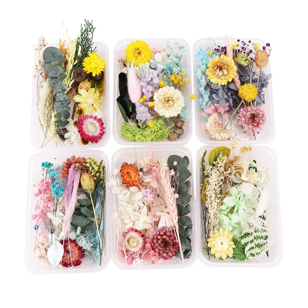 1 коробка настоящие сушеные цветы ароматерапия свеча мыло рукоделие материал