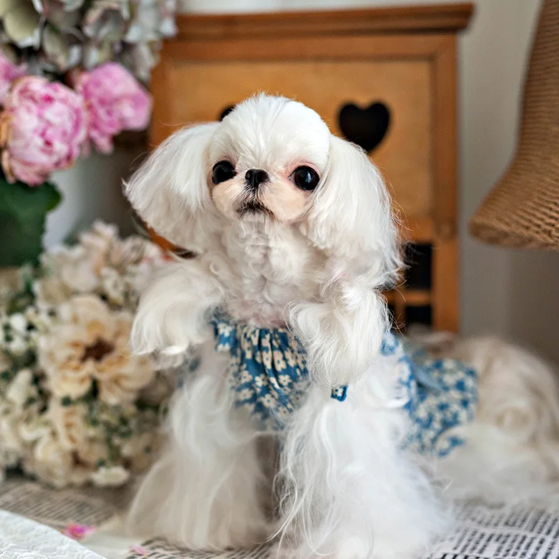 

Pet Clothes Summer Thin Kind Of Broken Beautiful Condole Belt Dress Teddy Dogs Could Be Yorkshire Than Spring Clothing VOW Pets