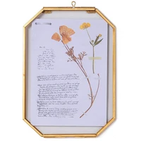 wall mounted octagonal herb museum brass glass frame for embossingdried flowerspostersfloating frameglass frame only