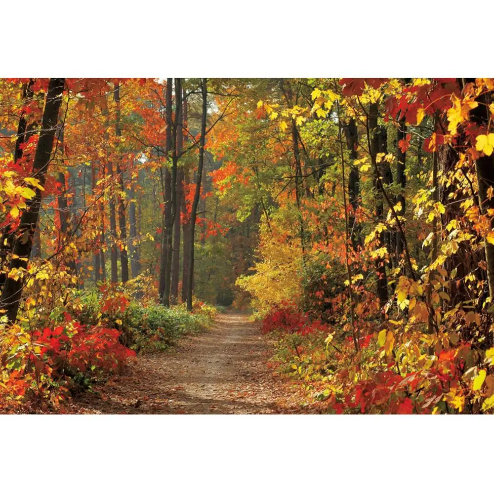 Виниловый фон для фотосъемки новорожденных с осенними листьями и лесными