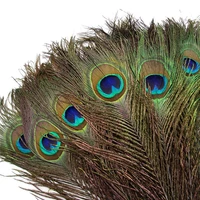 wholesale 200pcslot peacock feathers for decoration 25 32cm natural peacock feather diy jewelry handicraft accessories decor