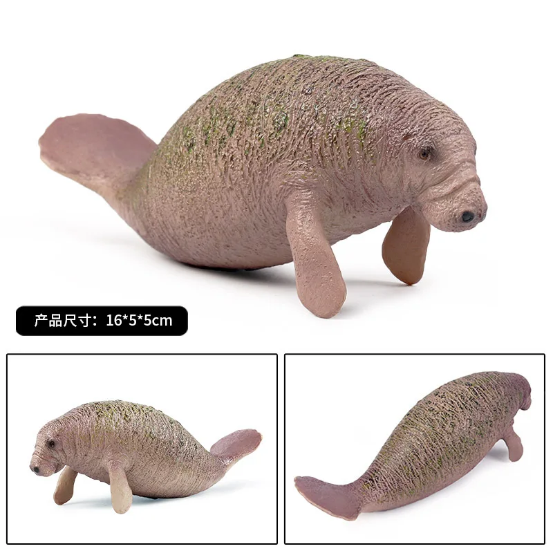 Экшн-фигурки животных Manatee коллекционные когнитивные игрушки из ПВХ |