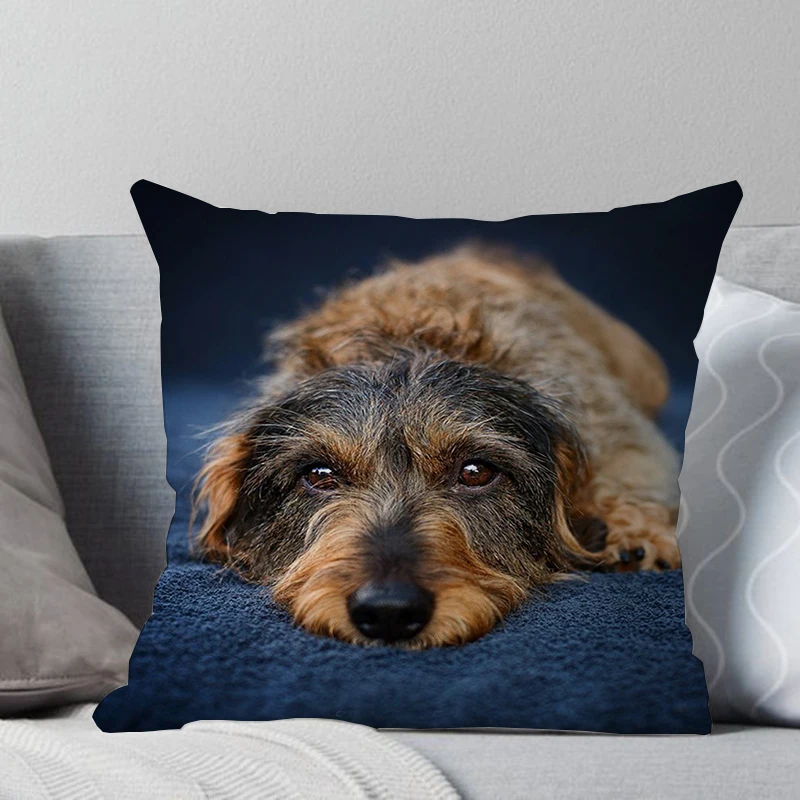 1 шт. 45*45 см милая собака подушка чехол Wirehaired подушки с таксой диван кровать автомобиль подушка чехол Спальня украшение в виде таксы Подушка бухта