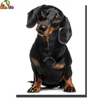 5d алмазная вышивка собаки породы такса Животные алмазов картина камни в форме ромба круглые стразы картина Алмазная мозаика головоломка