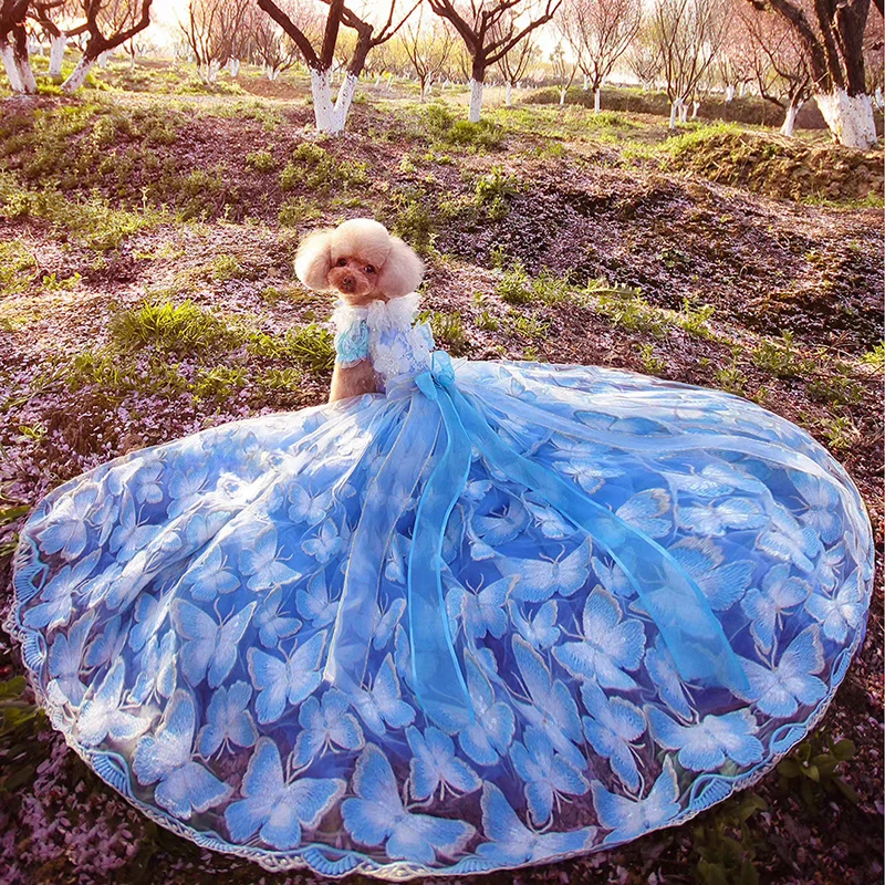 Кружевное платье пачка для маленьких собак с цветочным принтом|Платья собак| |