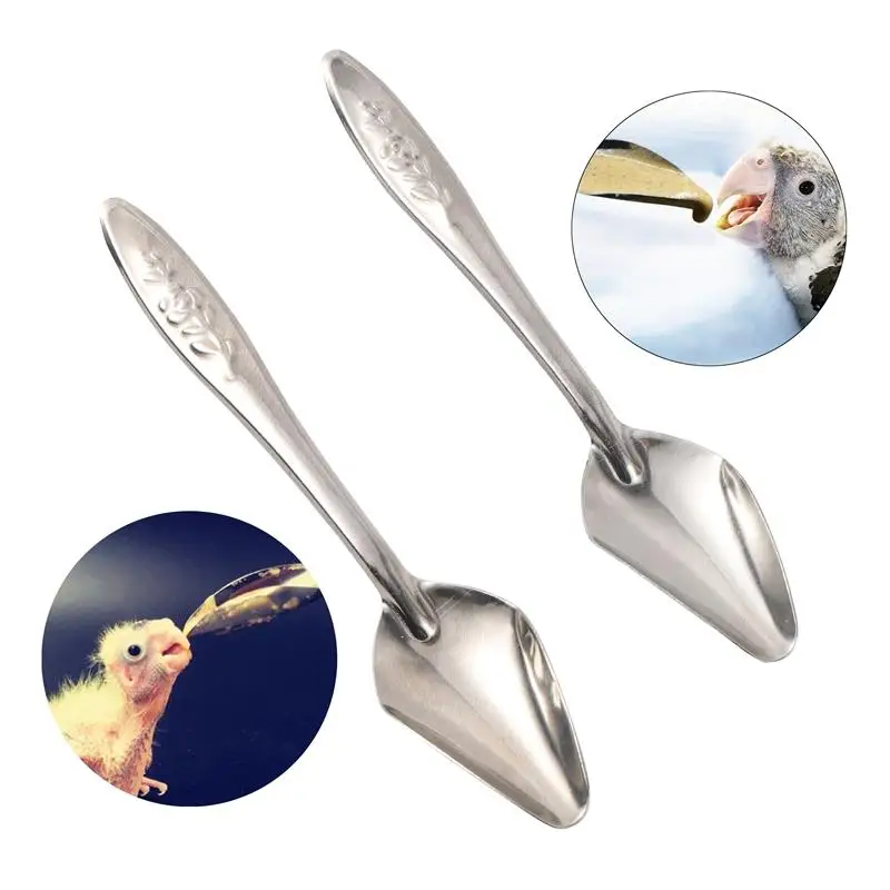 

2 Pcs Bird Parrot Feeding Spoon Stainless Steel Water Milk Powder Feeder Spoons For Small Pet Bird Supplies