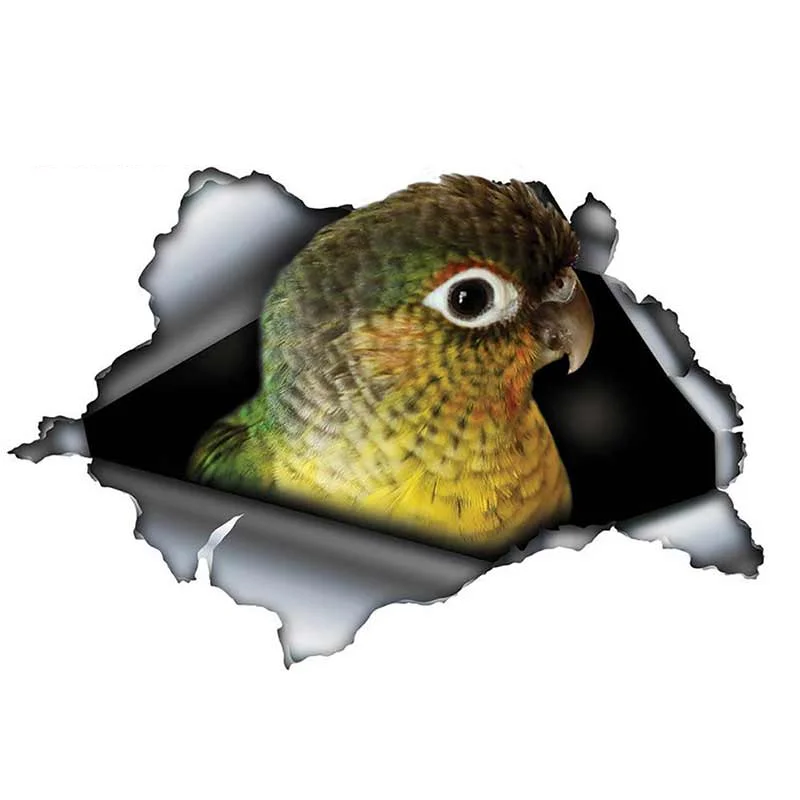 

Car Sticker Torn Metal Decal Car Sticker Accessories Vinyl PVC 13cmx9cm Motorcycle Waterproof Windshield Car Window Car Styling