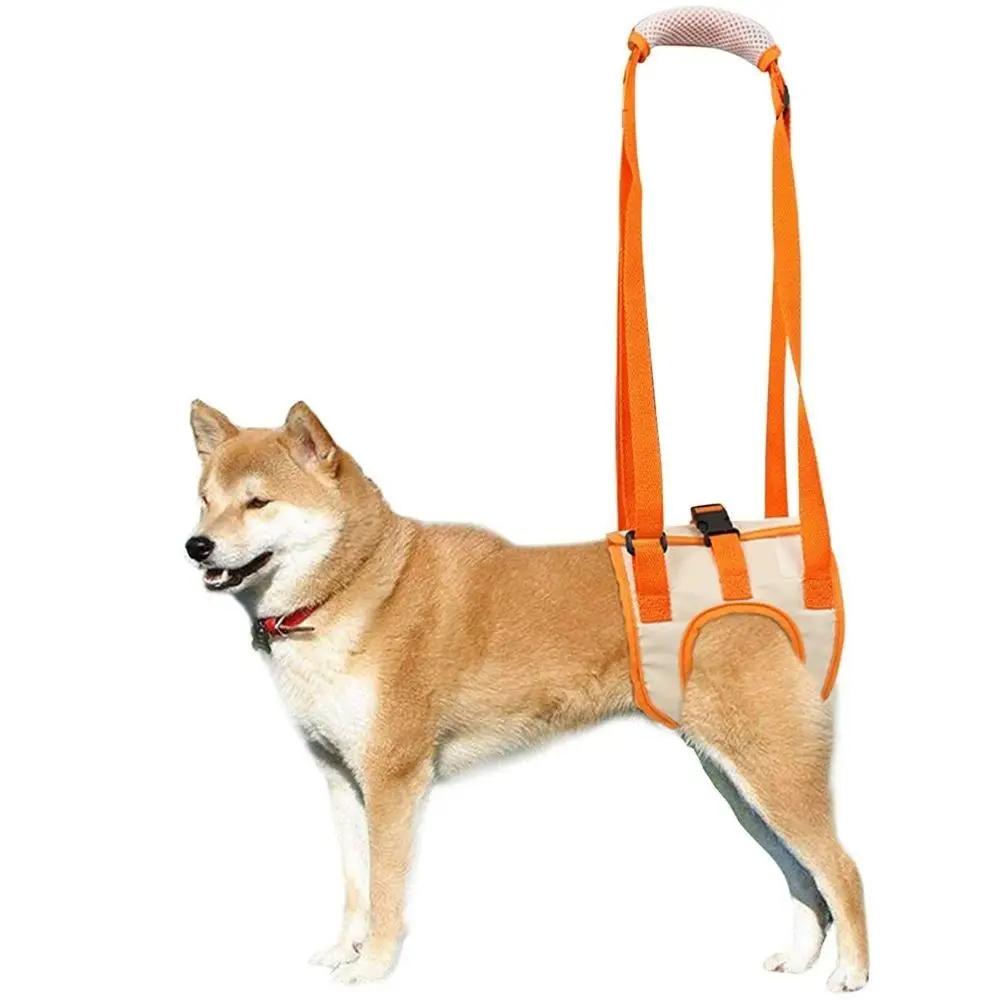 

Dog Support Harness for Back Legs Auxiliary Belt Pet Rehabilitation Lifts Vest Adjustable Straps for Old Disabled Joint Injuries