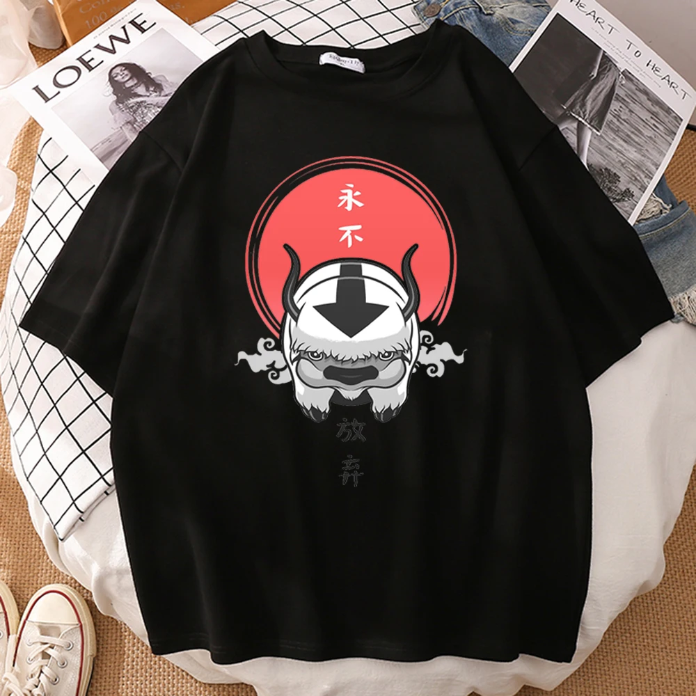 Женские футболки летние топы Аватар Последний Воздушный Бандер принт Харадзюку