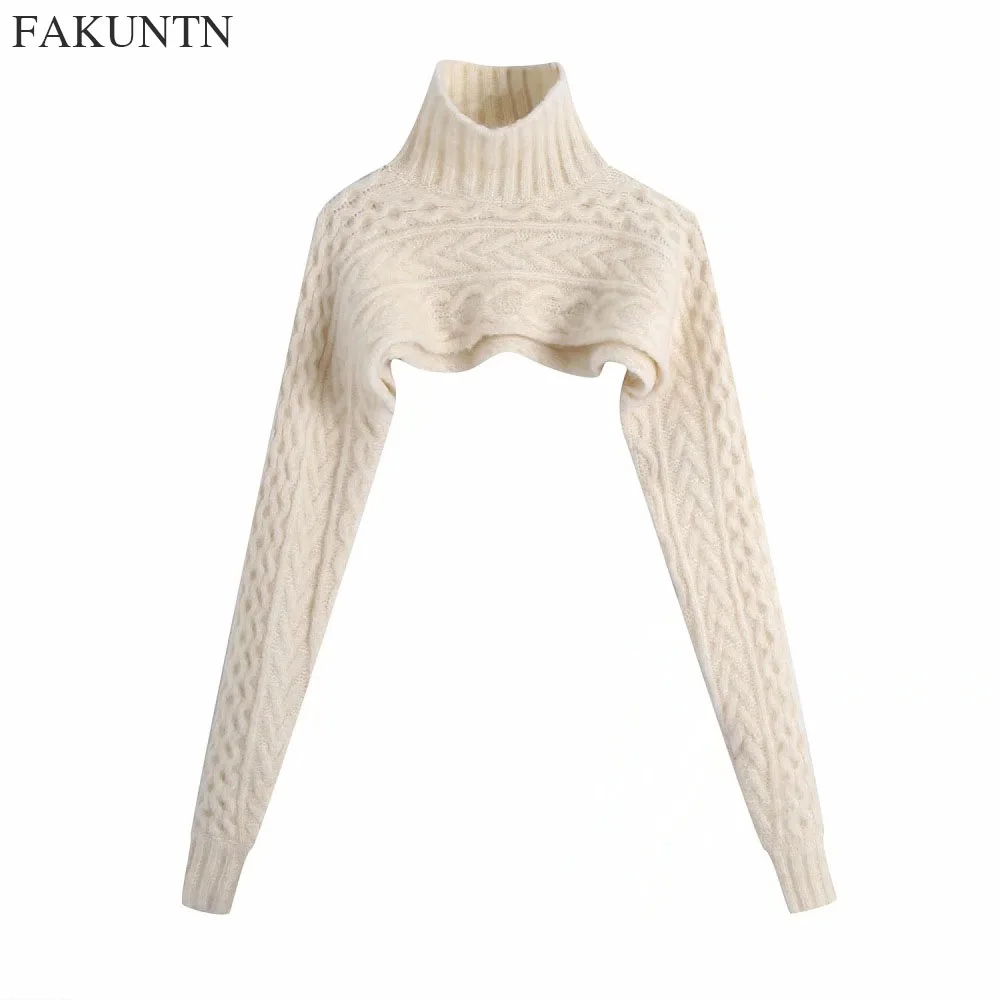 

FAKUNTN Turtleneck Sweater Women Pullover Autumn Winter Cuff Style White Knitted Tops Vintage Long Sleeve Jumper Women Sweaters