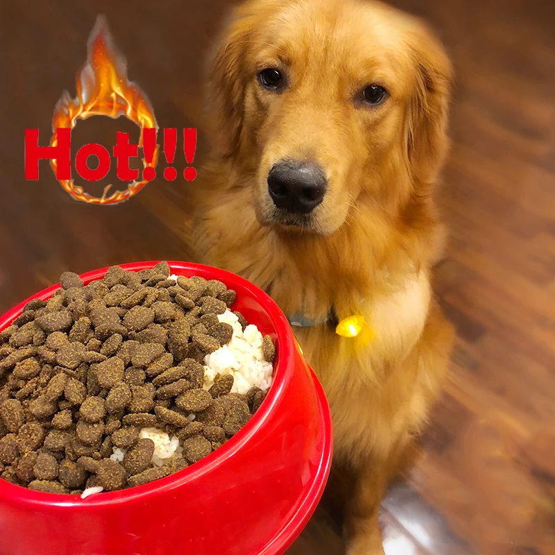 Миски для корма собак миска питомцев миски красные черные кошек кормушки С