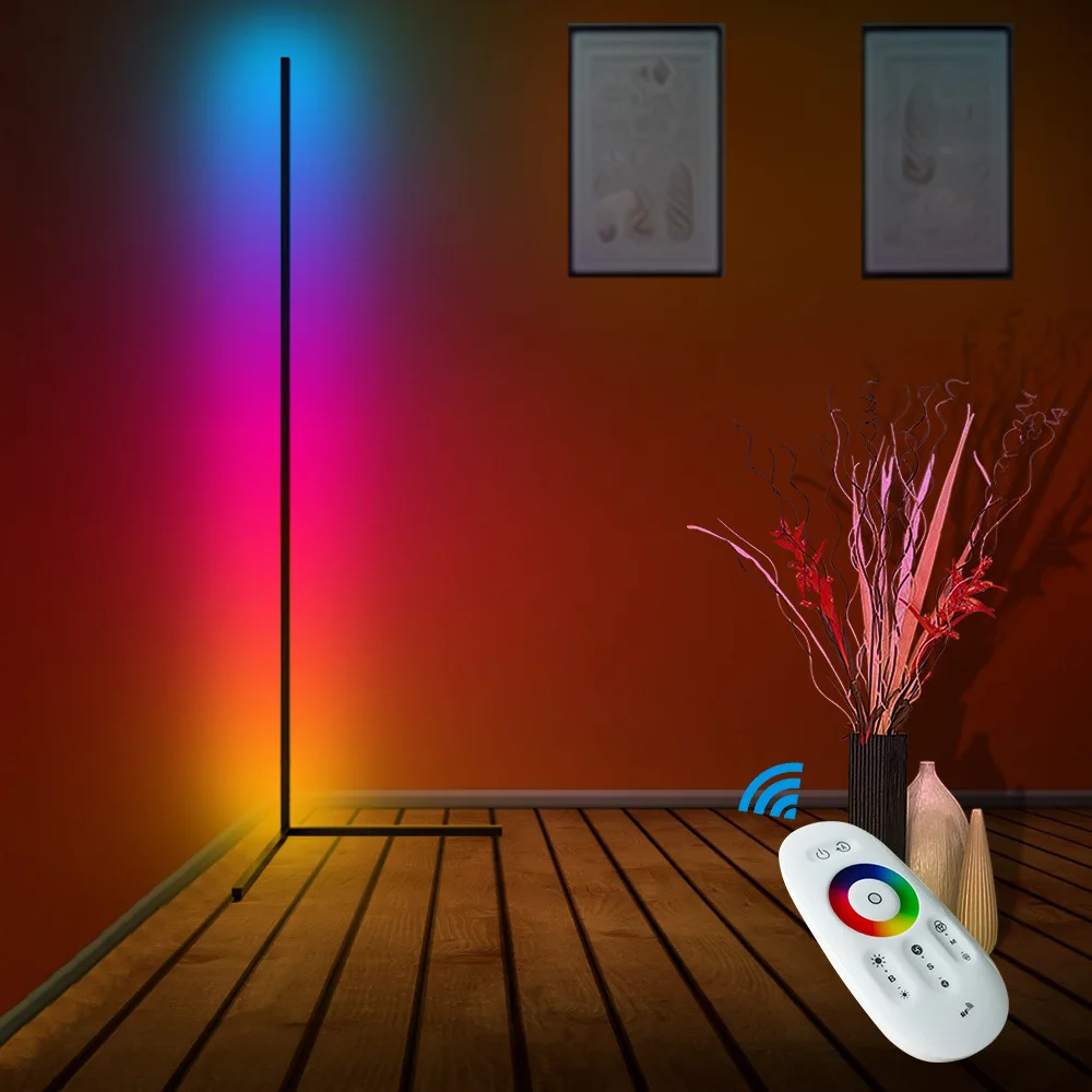 LED Floor Lights Modern Multicolor Fairy Floor Lamp Plug Powered for Indoor Living Room Bedroom Atmosphere Lighting Home Decor