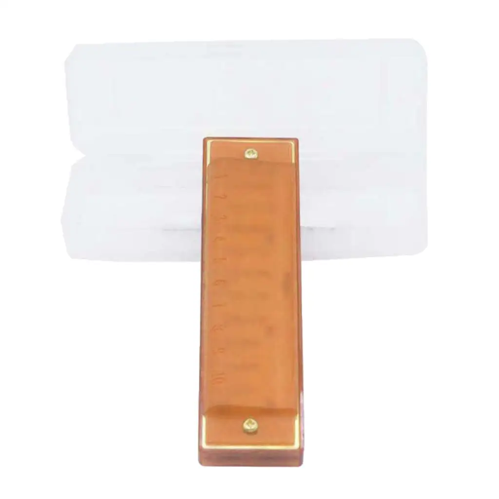 10 Holes 20 Tunes Harmonica Key of C for Beginner Students Kids Gift Professional with case | Спорт и развлечения