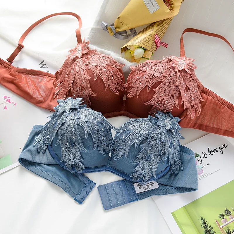 Нижнее белье женское с вышитыми перьями привлекательное кружевное в винтажном