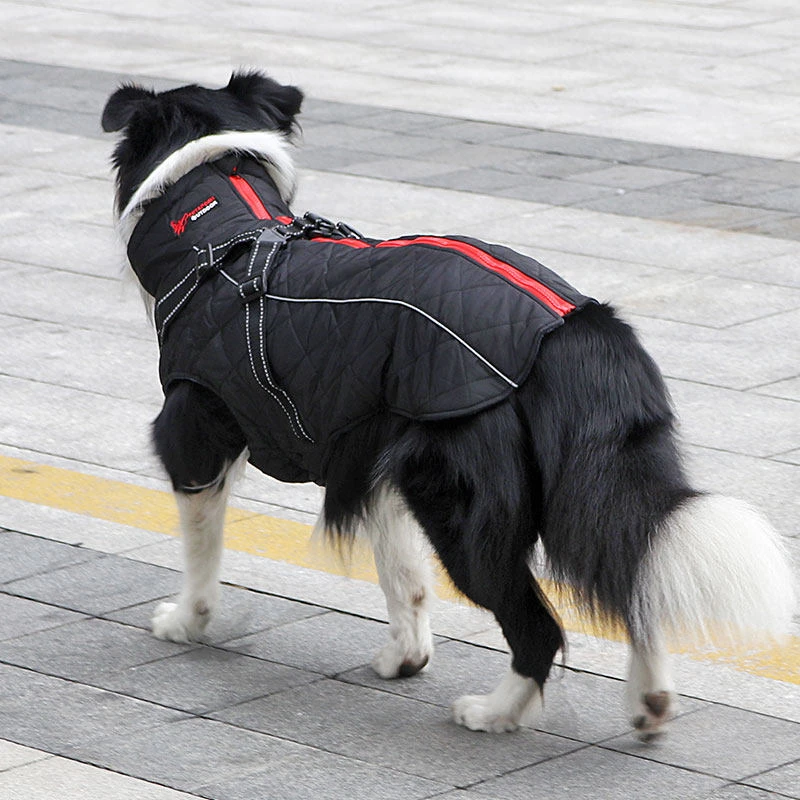 Оптовая продажа куртка для собак зимняя одежда золотистый ретривер черная