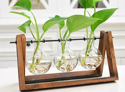 Креативное гидропонное стекло для растений Террариум контейнер украшение стола