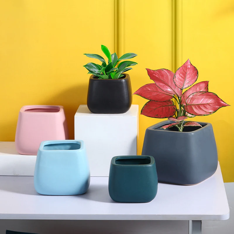 

Nordic Minimalist Moradi Ceramic Flower Pot Cactus Green Plant Potted Big Basin Modern Hydroponic Home Creative Gardening