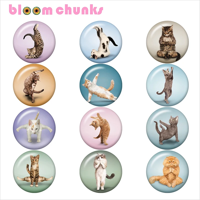 

Cat Yoga горячая Распродажа 12 мм/18 мм/25 мм/40 мм круглая фотография стекло кабошон демонстрация Плоская задняя поверхность фурнитура B5667