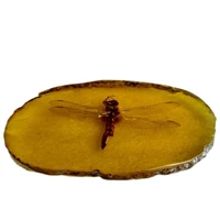 chinese amber decorative natural insect dragonflies specimen