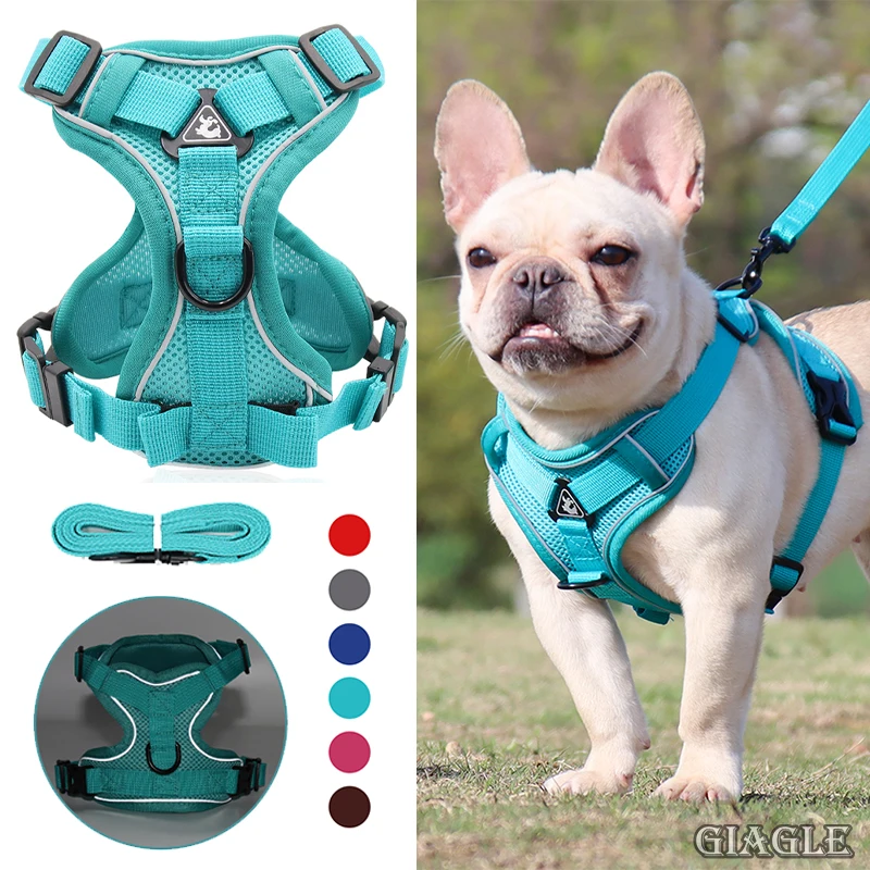 

Dog Light Adjustable Collar Harness and With Leash Set for Small Dogs Puppy Cats Sturdy Vest Pet Fashion Luxury Accessories