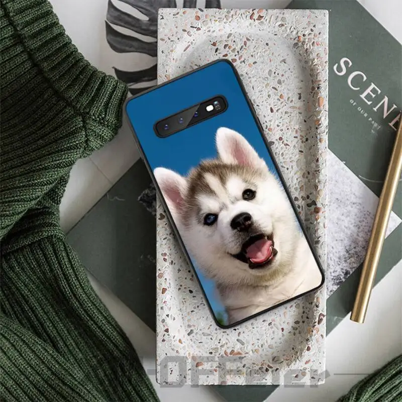 Роскошный брендовый чехол с забавными собаками хаски чехлы для samsung galaxy S8 S9 S10e S20