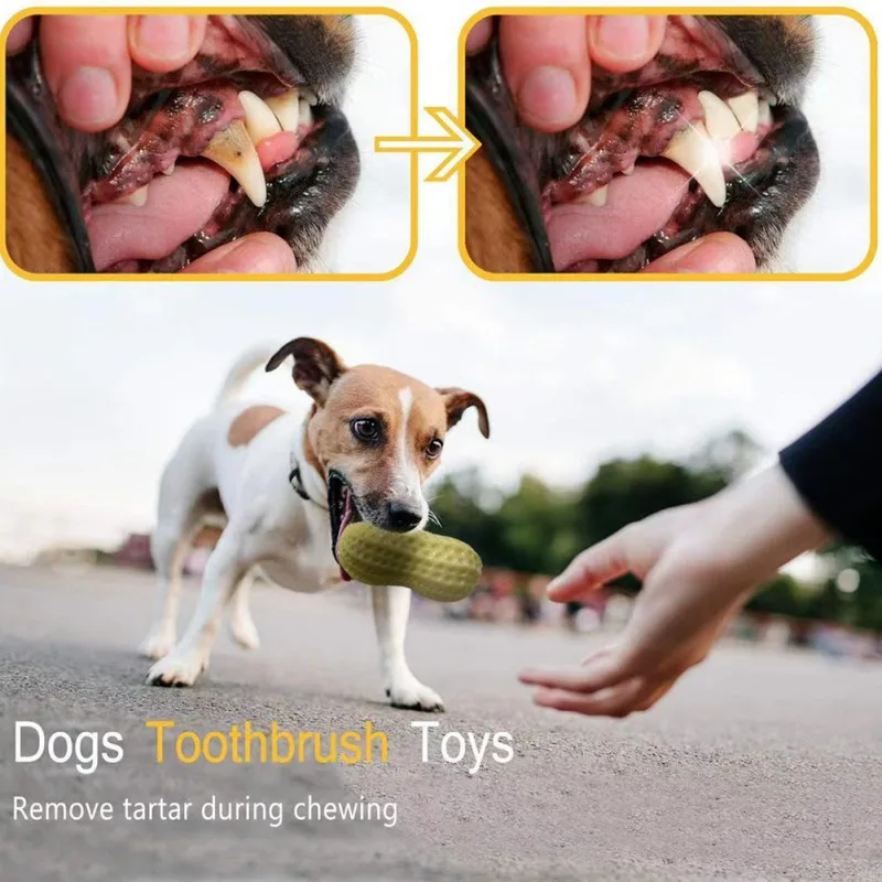 Pet 2021 Dog Chew Toy Peanuts Modeling Dental Care Medium and Large Interactive Anti-boring Summer Hot Style 1 | Дом и сад
