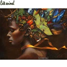 5D стразы, алмазная живопись, Африканская женщина, картина-бабочка, квадратная, круглая, вышивка крестиком, алмазная вышивка, Декор