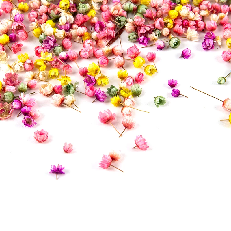200pc Real Dried Flowers For DIY Art Craft Epoxy Resin Candle Making Jewellery Glass Cover Ball Filler Dried Flowers Accessories