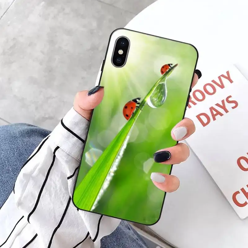 

four leaf ladybug daisy Phone Case for iPhone 11 12 pro XS MAX 8 7 6 6S Plus X 5S SE 2020 XR mini