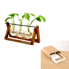 Дропшиппинг с картонной упаковкой Террариум Творческий гидропонное растение прозрачная ваза деревянная рамка с картонной упаковкой