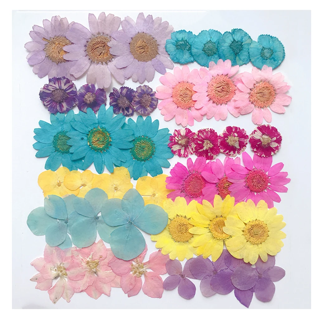 

Natrual Pressed Dried Flowers Scrapbooking Embellishments Crafts for Candle Soap
