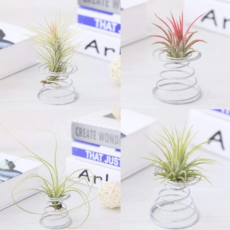 

Air Plant Stand Airplant Container Tillandsia Holder Stainless Steel Plant Display Racks Air Pineapple Base 12Pcs