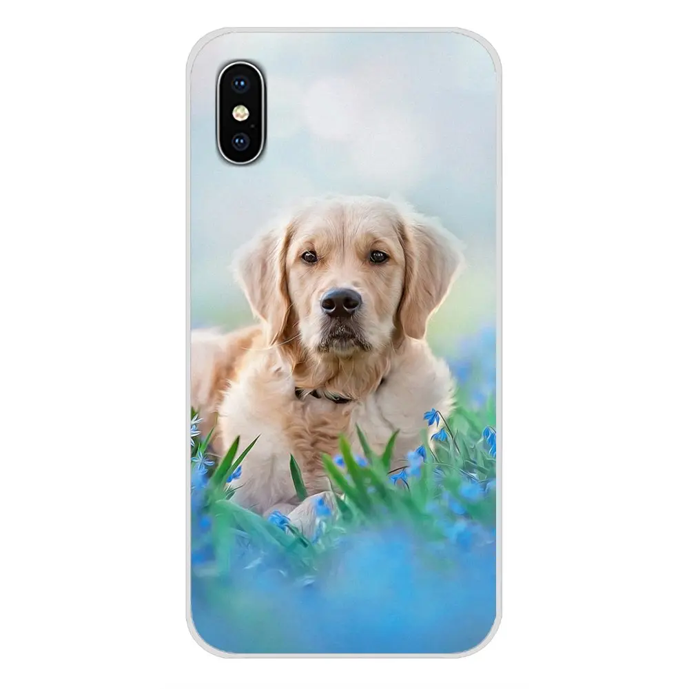 Аксессуары чехлы для телефонов Huawei Y5 Y6 Y7 Y9 Prime Pro GR3 GR5 2017 2018 2019 Y3II Y5II Y6II | Мобильные