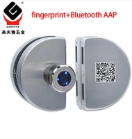 home office electronic smart fingerprint glass door lock single and double door keyless lock bluetooth lock app control