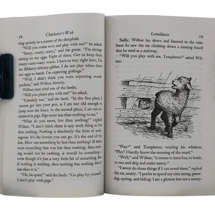 Книга чтения на английском языке Шарлотта для взрослых и детей лидеры