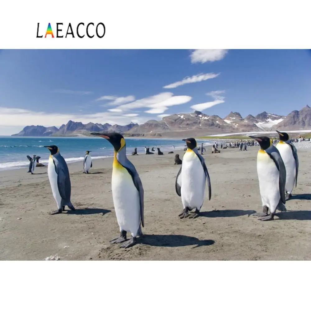 Laeacco фон для фотосъемки с изображением Антарктического пенгу зимы снега залива