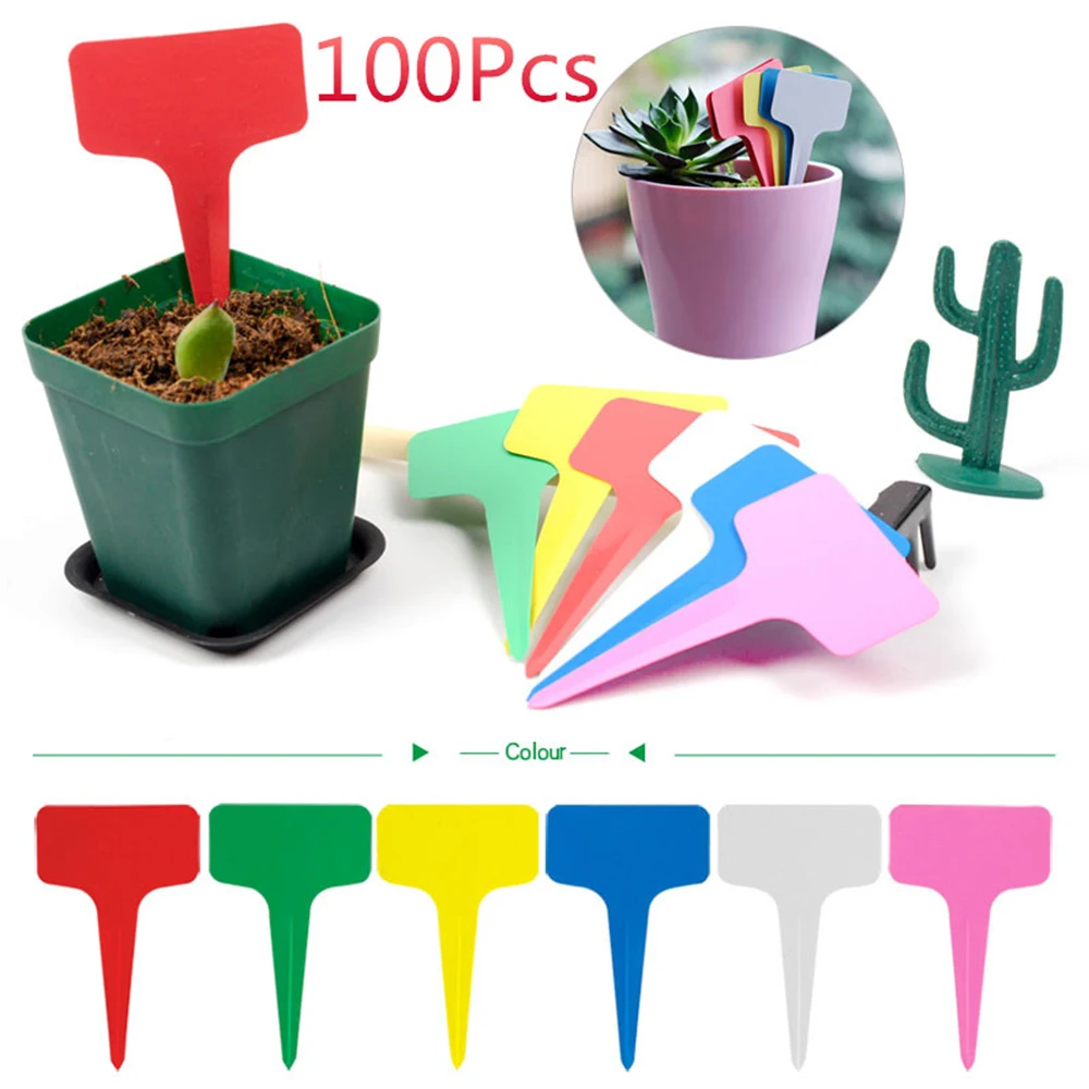 

Вставьте карты, 6 цветов, полезное расположение цветов в саду, зеленые растения, индивидуальность, 100 шт.