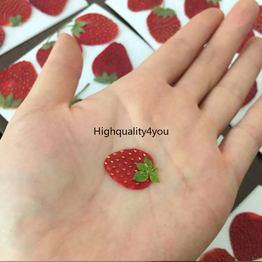 10 шт. сушеный прессованный мини с принтом клубники Кожи ломтики гербарий из