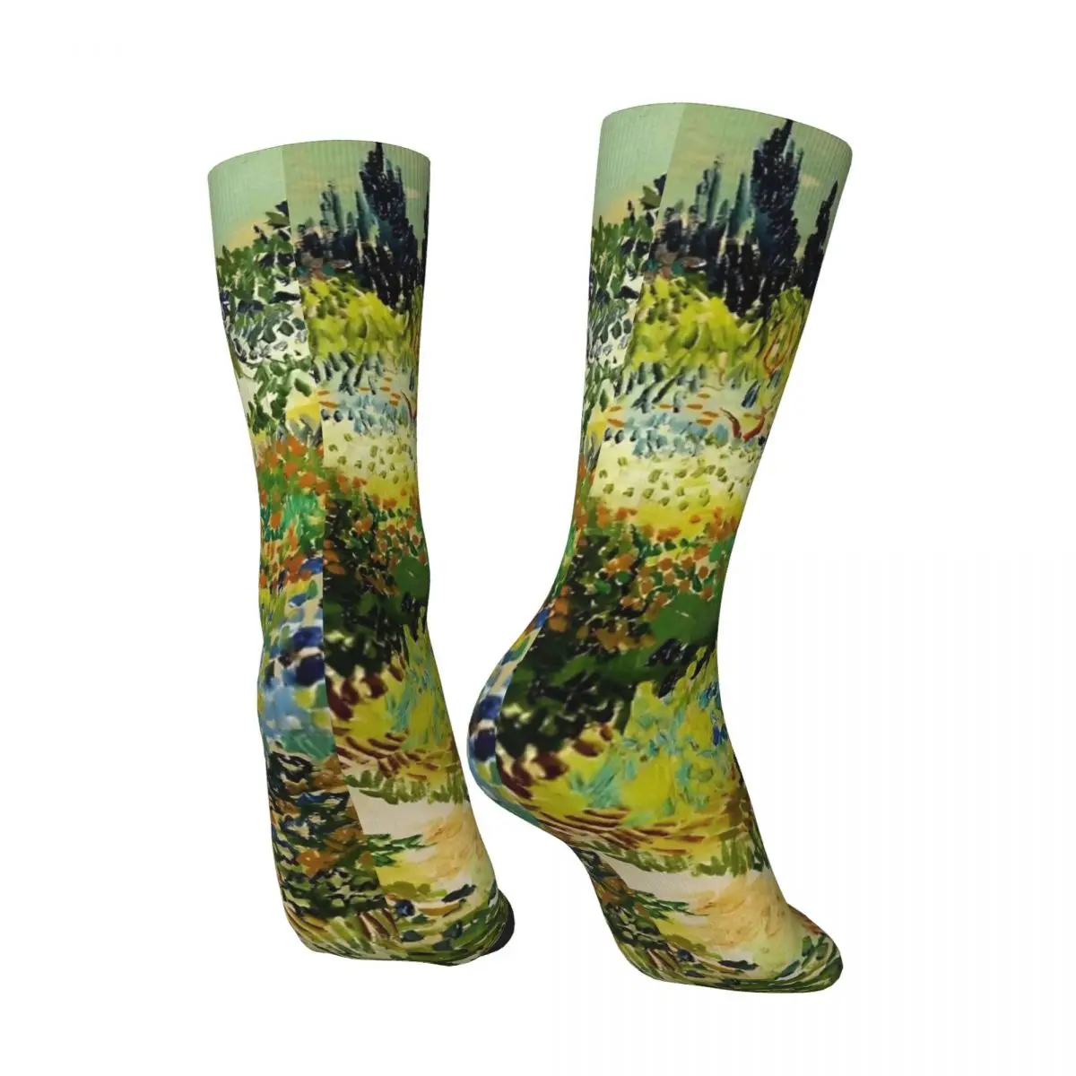 Носки Van Gogh осенние чулки Garden at Arles модные женские и мужские удобные носки